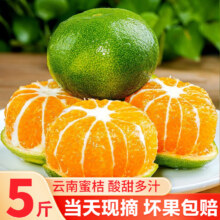 贾迷糊 云南蜜桔 净重5斤装（单果约50-55g）