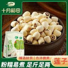 百亿补贴：SHI YUE DAO TIAN 十月稻田 莲子250g/袋2袋3袋5袋磨皮通心白莲去芯无芯莲银耳莲子