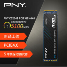 必恩威(PNY) CS2241系列 1TB SSD固态硬盘  NVMe M.2接口 PCIe 4.0 x 4