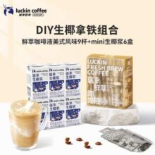 luckin coffee 瑞幸咖啡 DIY生椰拿铁组合（鲜萃咖啡液25ml*9杯+生椰浆125g*6盒）