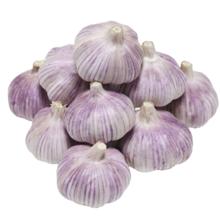 蔬汇师 山东金乡紫皮大蒜头干蒜5斤批发2023新鲜祘10斤农家蒜子3斤直发