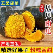 京鲜匠 山东正宗真贝贝南瓜粉糯老瓜新鲜蔬菜产地直发 5斤精选装（4-9个）净 4.5斤