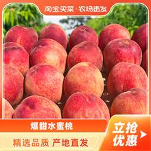 陈大爱 全麦果仁面包0蔗糖0添防腐剂高饱腹坚果零食整箱红豆营养五黑鸡蛋