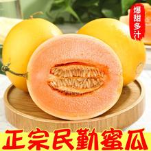 百亿补贴：盈羽 甘肃民勤蜜瓜沙漠蜜瓜黄河蜜新鲜应季水果现摘8-8.8斤装