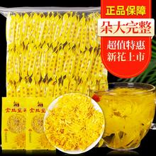 一朵一杯 金丝皇菊100朵独立装