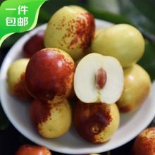 概率券：Mr.Seafood 京鲜生 陕西大荔冬枣 净重3斤 单果12g以上 生鲜水果 源头直发 包邮