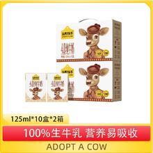 认养一头牛 娟姗纯牛奶4.0g蛋白125ml*10盒原生高钙儿童早餐两箱