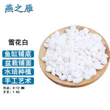 燕之雁 鱼缸造景石雪花白1KG 鱼缸铺面铺底白色鹅卵石子 多肉盆栽水培石