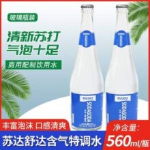 苏达舒达 含气特调水560mL
