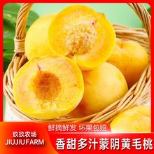 百亿补贴：玖玖农场 山东蒙阴大黄桃当季新鲜水果毛桃黄金蜜桃2.7/4.7斤