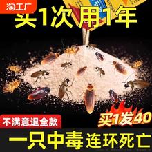 蟑螂药强效家用一窝端室内厨房无蟑神器全克星大胶剂灭杀诱饵杀虫