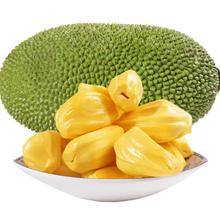 言果纪 海南干苞菠萝蜜 黄肉 20-25斤