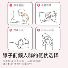 GRACE 洁丽雅 A类全棉水洗棉枕头睡眠专用枕芯护颈椎家用单人枕头
