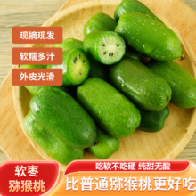 淘宝买菜 现摘现发陕西软枣猕猴桃 2斤