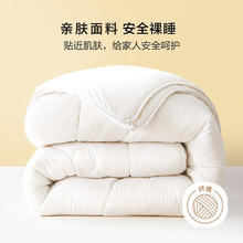 BLISS 百丽丝 大豆抗菌冬被 150cm*210cm