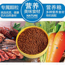 宠以沫 CHONG YIMO）金鱼饲料观赏鱼锦鲤鱼1斤装500克