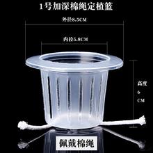 无与伦比 水培定植篮圆形加深植物固根器鱼缸器皿花卉篮绿萝固定器无土栽培