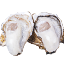 plus会员:贝司令（BEISILING） 鲜活乳山生蚝海鲜贝类牡蛎2-4两 净重4斤 8-15只*4件