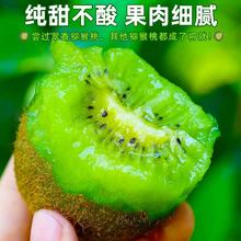 官补10.8 绿心猕猴桃3斤90-110g大果