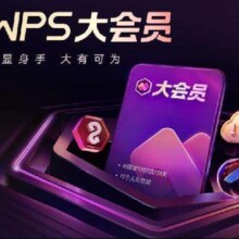 20点开始、PLUS会员：WPS大会员年卡+优酷视频年卡