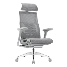 再降价、京东百亿补贴、PLUS会员：Ergonor保友Pofit 2代 智能人体工学椅