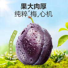 88VIP会员：BESTORE 良品铺子 加州西梅 150g 25-30包