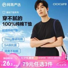 网易严选 2024新品 男士5A级抑菌200g重磅纯棉短袖T恤*2件 多色