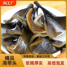 海带头干货特级厚福建霞浦特产日晒海带根头霞浦海产品海带干货头