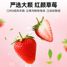小冻粮 冻涂层冻干草莓干网红休闲小吃零食20g*1袋