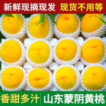 淘轩园山东蒙阴黄毛桃新鲜水果黄肉桃新鲜采摘蒙阴黄桃 拍2件合发一箱 优选黄毛桃 净 重 2.25斤（4-6个装）