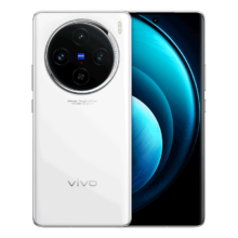 百亿补贴、plus会员：vivo X100 蓝晶x天玑9300旗舰芯片 蔡司影像 120W双芯闪充 5G拍照手机 白月光 12GB+256GB