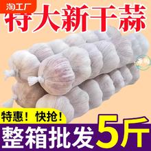 【首单直降】大蒜头批发干蒜紫皮大蒜头干蒜特大新鲜大蒜批发包邮