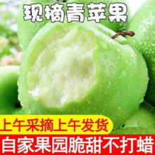 淘宝买菜农场直发，山西正宗当季新鲜酸脆青苹果 带箱5斤
