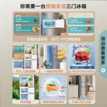 海信（Hisense）三开门冰箱小型家用电冰箱无霜冰箱一级能效251升小冰箱小户型BCD-251WYK1DPJ 【风冷养鲜】