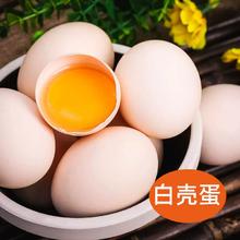 正宗山林白壳蛋45g+无抗农家散养蛋大码蛋整箱农场直发