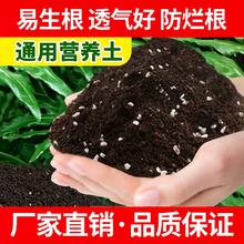 营养土养花通用型种菜专用种花土壤多肉家用盆栽种植花土发酵疏松
