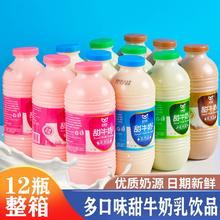 小健哥甜牛奶抹茶草莓咖啡原味甜牛奶代餐乳饮品学生牛奶早餐整箱