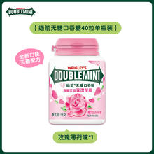 DOUBLEMINT 绿箭 口香糖原味薄荷约40粒口香糖清新口气办公室零食