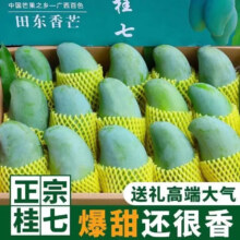 陇百味广西百色桂七芒果新鲜时令水果礼盒整箱 带箱5斤单果150g+