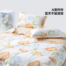 BLISS 百丽丝 A类可水洗夏凉被 150cm×200cm