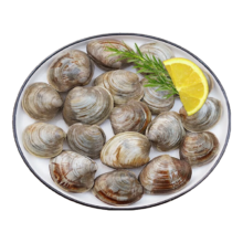 玖瑞昇 【源头直发】鲜活大美贝 5斤 每斤15-20粒 花甲 蛤蜊