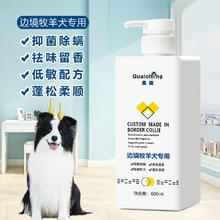 边境牧羊犬狗狗专用洗澡沐浴露去污除臭抗菌除螨止痒留香白毛漂白