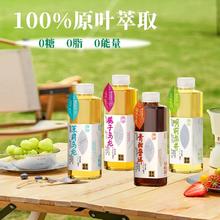 茶庄日记无糖原叶纯茶525ML*6瓶
