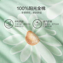 BLISS 百丽丝 水星出品百丽丝家纺100全棉床上三/四件套亲肤透气套件24年新款