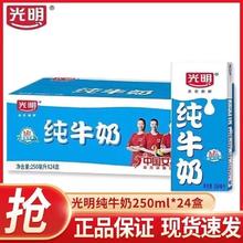 Bright 光明 8月新日期光明纯牛奶250ml*24盒 整箱批发纯牛奶
