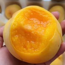 蒙阴锦绣黄桃当季新鲜蜜桃礼盒整箱现摘现发