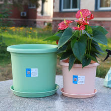 盆之源 花盆2个 口径14cm