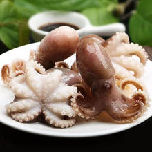 迷你短腿八爪鱼 500克*4袋