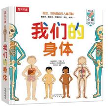 《我们的身体》