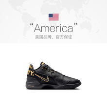 NIKE 耐克 男子LEBRON NXXT GEN AMPD EP篮球鞋FJ1567-103